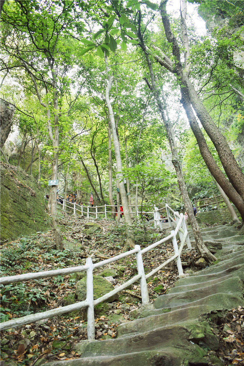 亚洲精品巨爆乳无码大乳巨