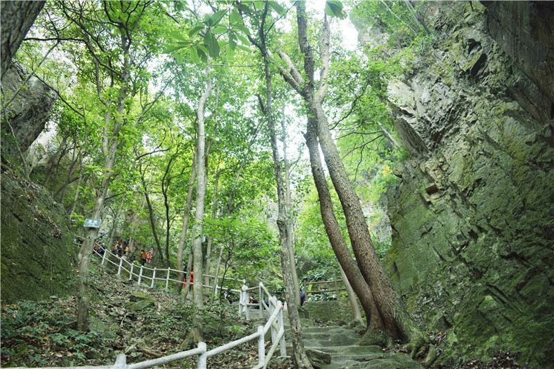 亚洲精品巨爆乳无码大乳巨