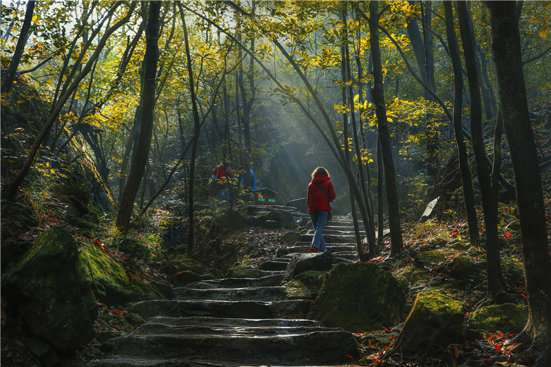 亚洲精品巨爆乳无码大乳巨