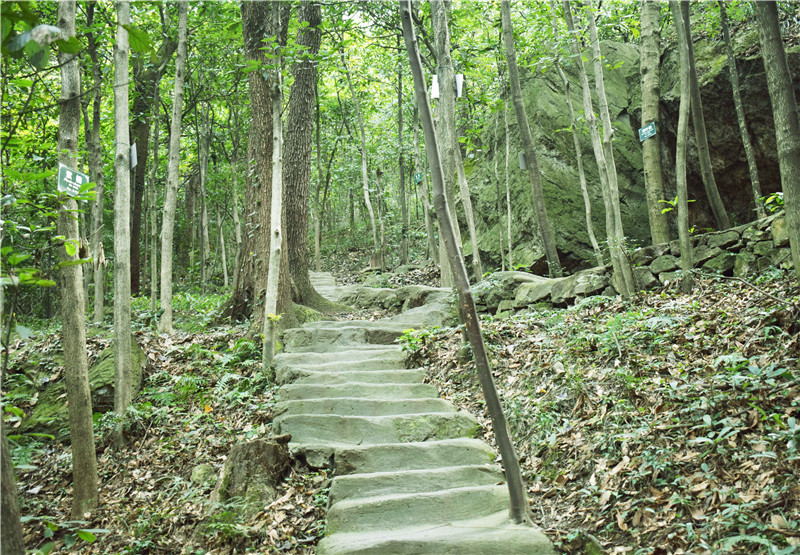 亚洲精品巨爆乳无码大乳巨