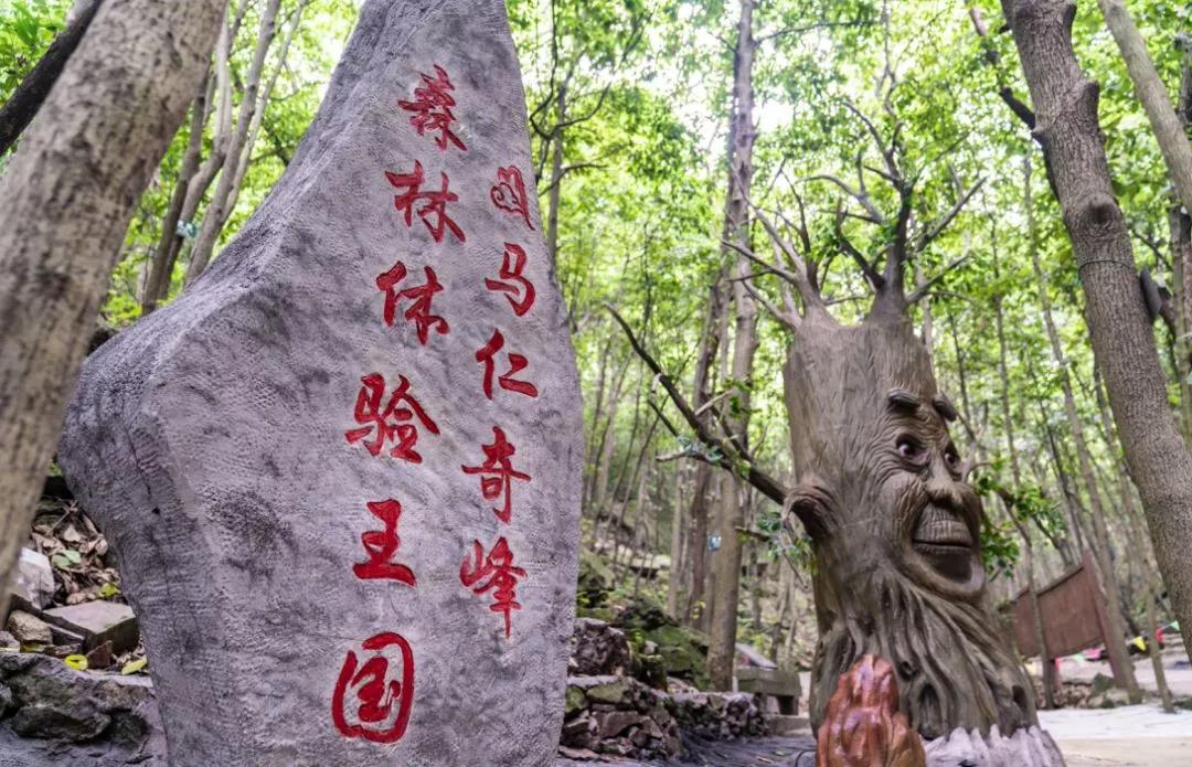 马仁奇峰、大浦双双入选首批“安徽省职工疗休养基地”！