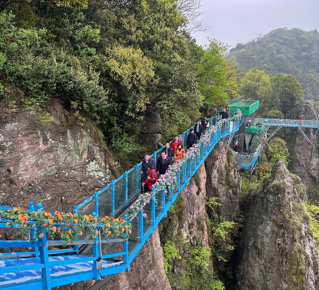 中国旅游研究院院长戴斌一行调研马仁奇峰景区