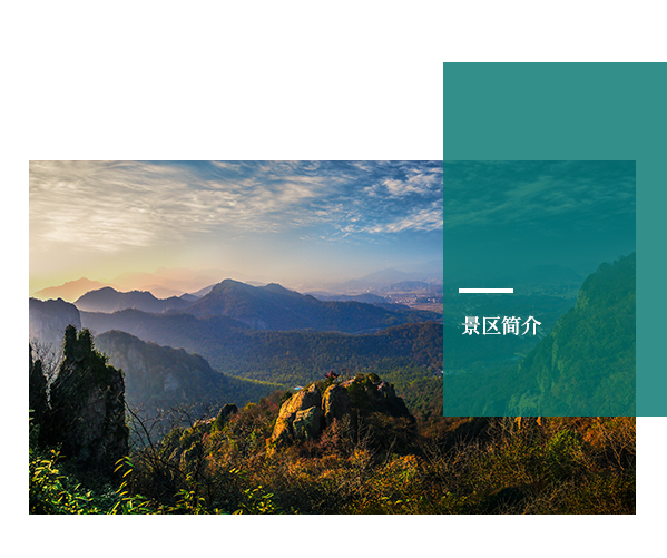 亚洲精品巨爆乳无码大乳巨