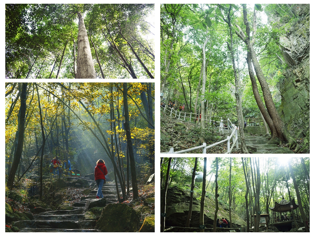 亚洲精品巨爆乳无码大乳巨