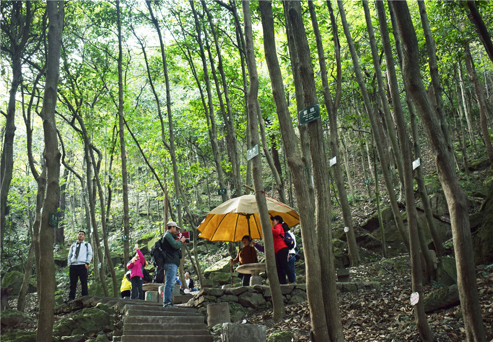 亚洲精品巨爆乳无码大乳巨