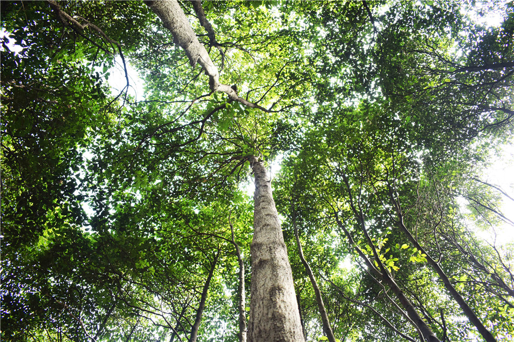 亚洲精品巨爆乳无码大乳巨