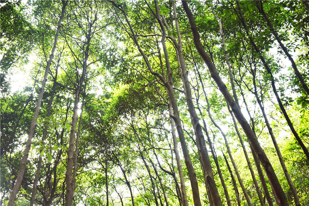 亚洲精品巨爆乳无码大乳巨