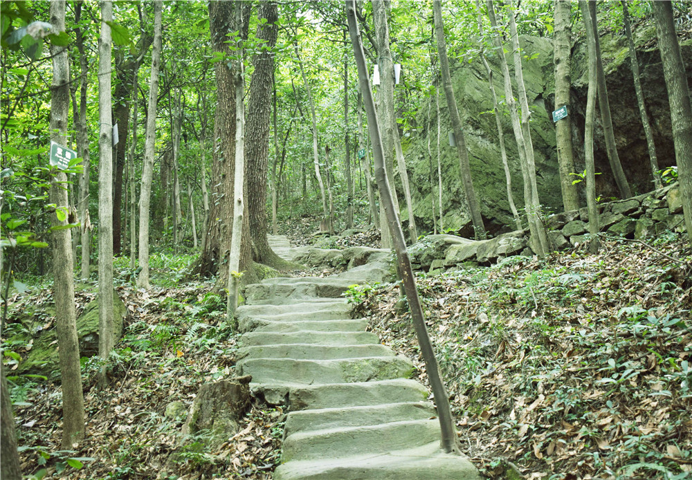 亚洲精品巨爆乳无码大乳巨