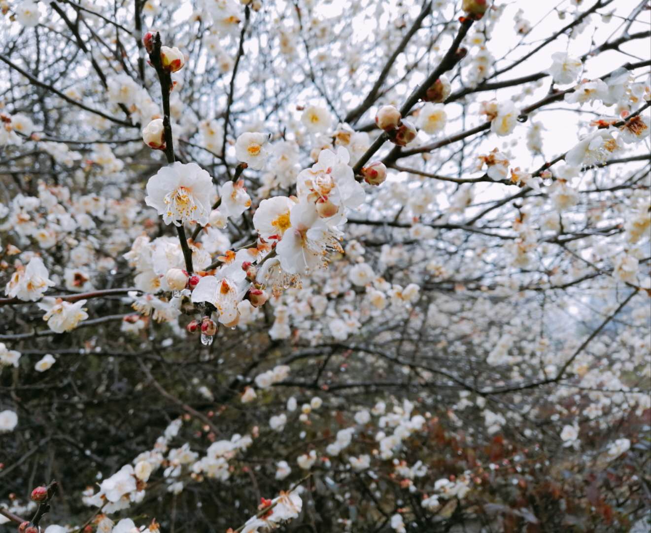 亚洲精品巨爆乳无码大乳巨