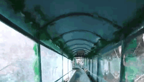 亚洲精品巨爆乳无码大乳巨