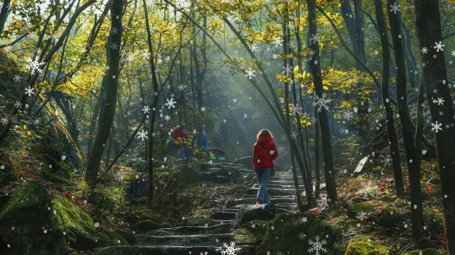 亚洲精品巨爆乳无码大乳巨