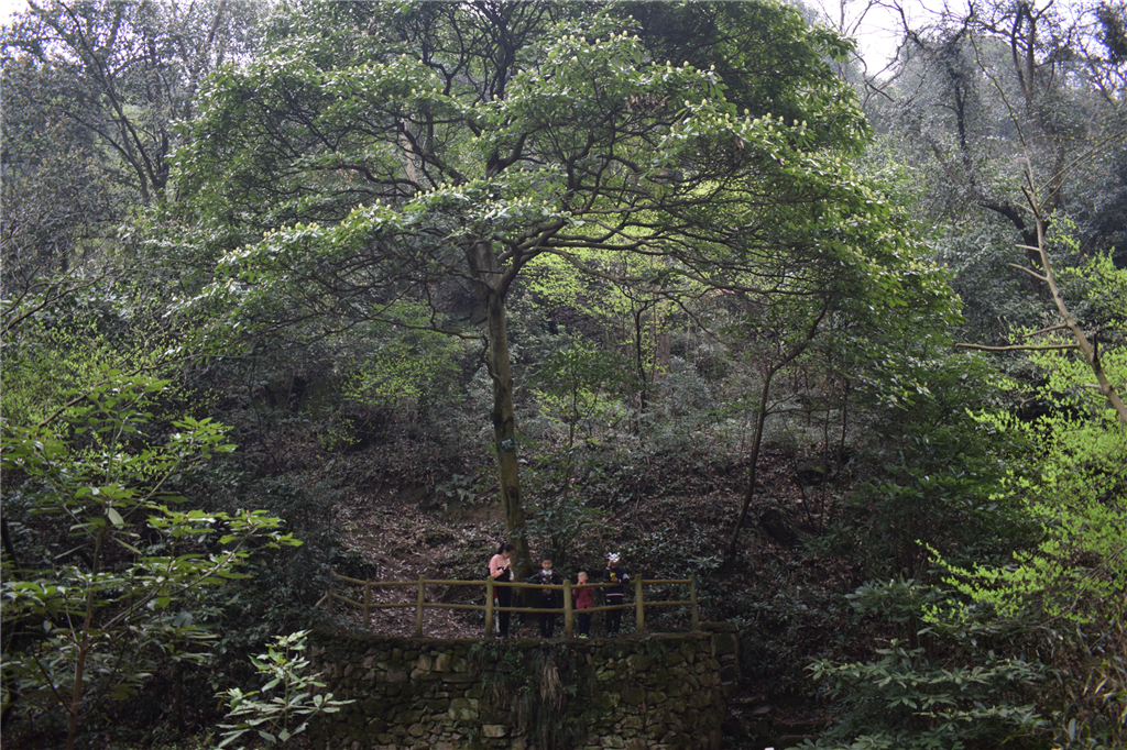 亚洲精品巨爆乳无码大乳巨