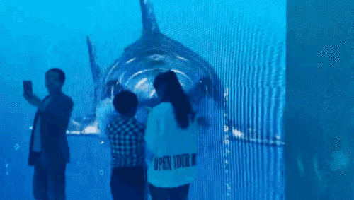 亚洲精品巨爆乳无码大乳巨