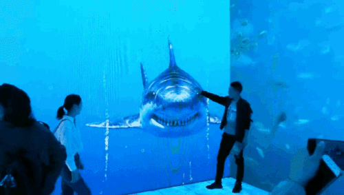 亚洲精品巨爆乳无码大乳巨