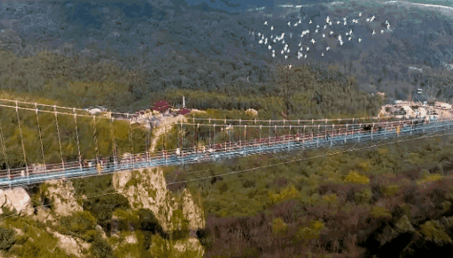 亚洲精品巨爆乳无码大乳巨