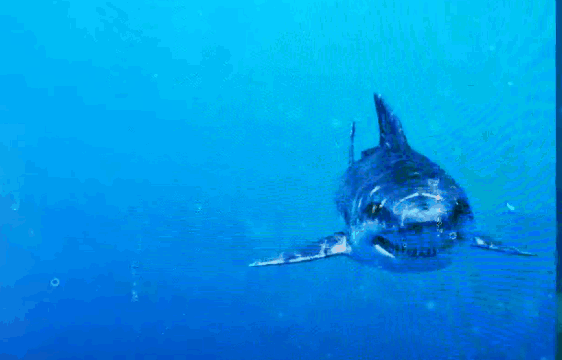 亚洲精品巨爆乳无码大乳巨