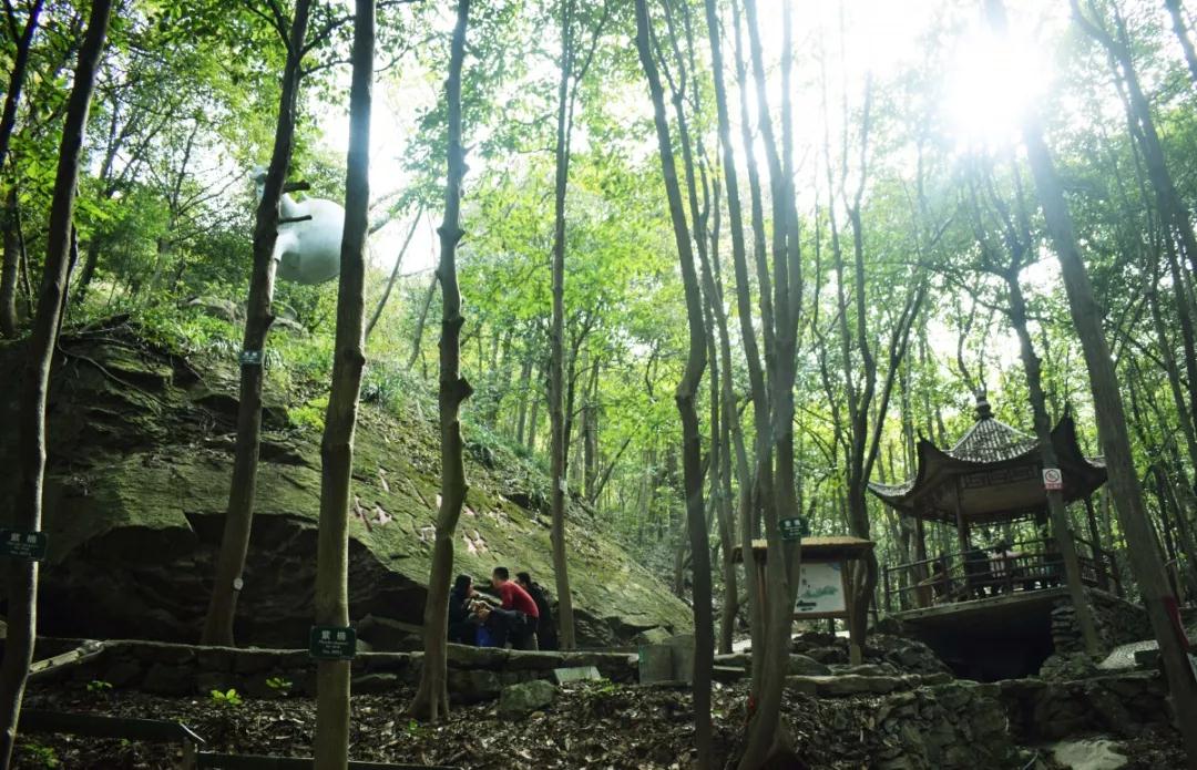 亚洲精品巨爆乳无码大乳巨