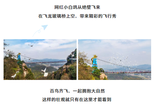 亚洲精品巨爆乳无码大乳巨