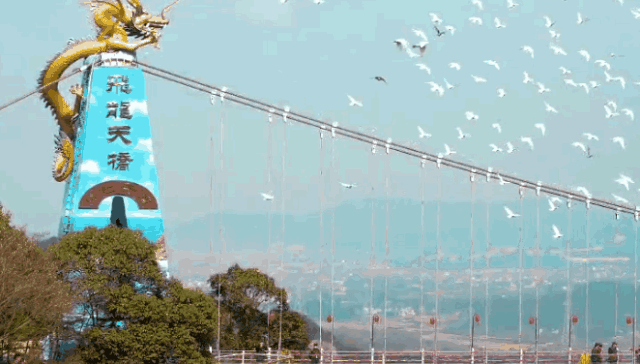 亚洲精品巨爆乳无码大乳巨