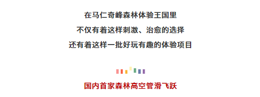 亚洲精品巨爆乳无码大乳巨