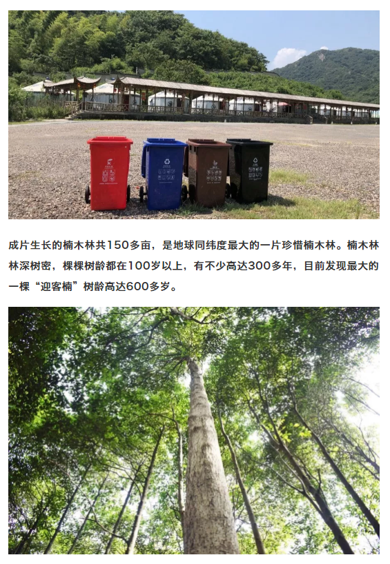 亚洲精品巨爆乳无码大乳巨