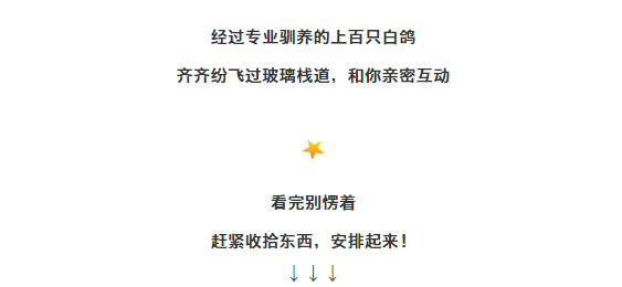 亚洲精品巨爆乳无码大乳巨