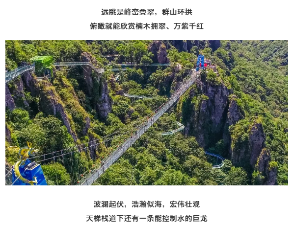 亚洲精品巨爆乳无码大乳巨