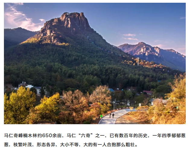 亚洲精品巨爆乳无码大乳巨