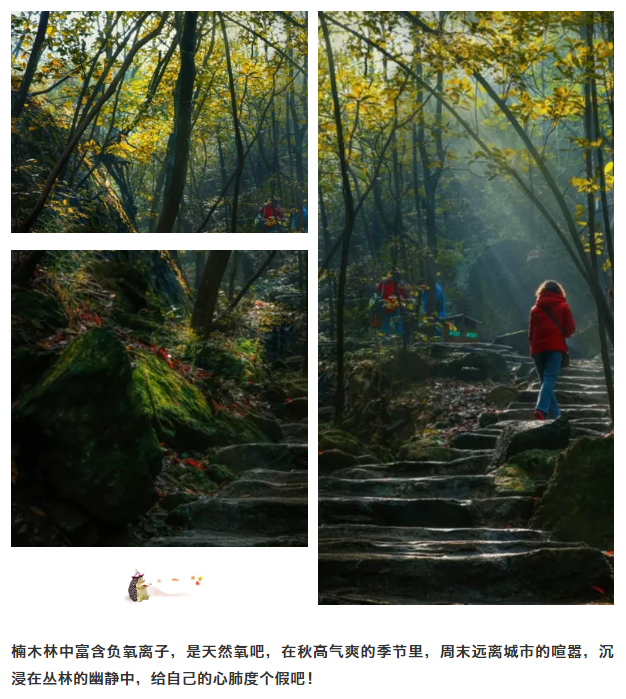 亚洲精品巨爆乳无码大乳巨