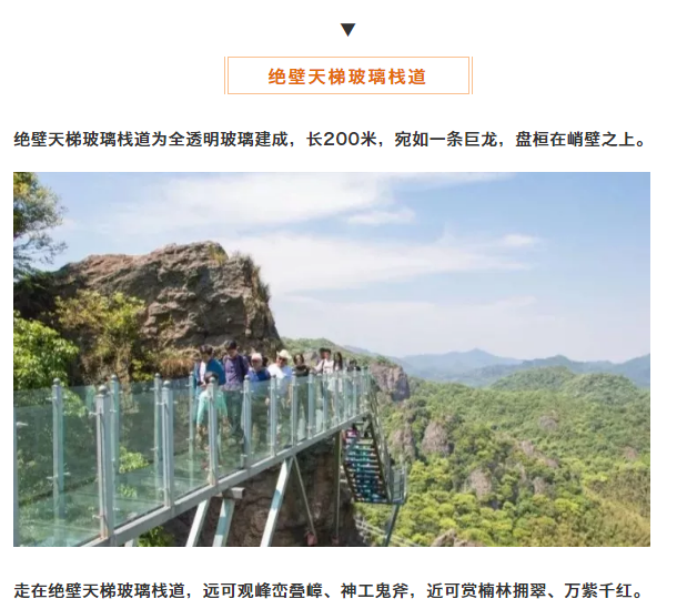 亚洲精品巨爆乳无码大乳巨