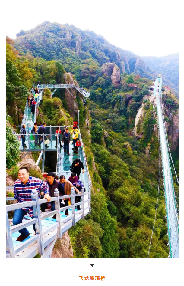 亚洲精品巨爆乳无码大乳巨