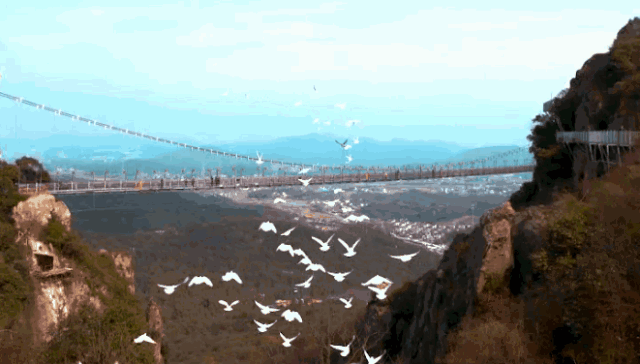 亚洲精品巨爆乳无码大乳巨