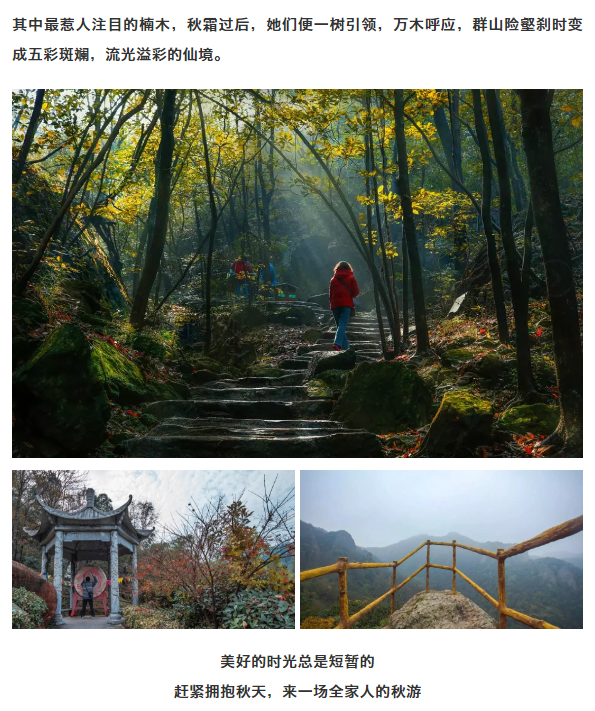 亚洲精品巨爆乳无码大乳巨