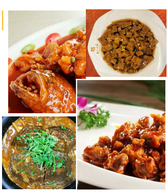 亚洲精品巨爆乳无码大乳巨