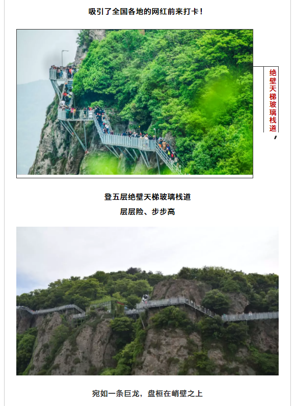 亚洲精品巨爆乳无码大乳巨