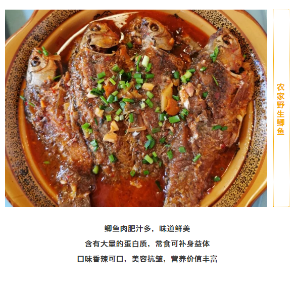 亚洲精品巨爆乳无码大乳巨