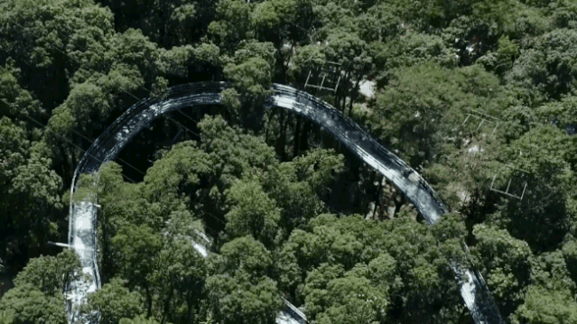 亚洲精品巨爆乳无码大乳巨