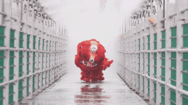 亚洲精品巨爆乳无码大乳巨