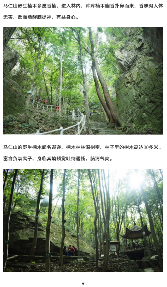 亚洲精品巨爆乳无码大乳巨