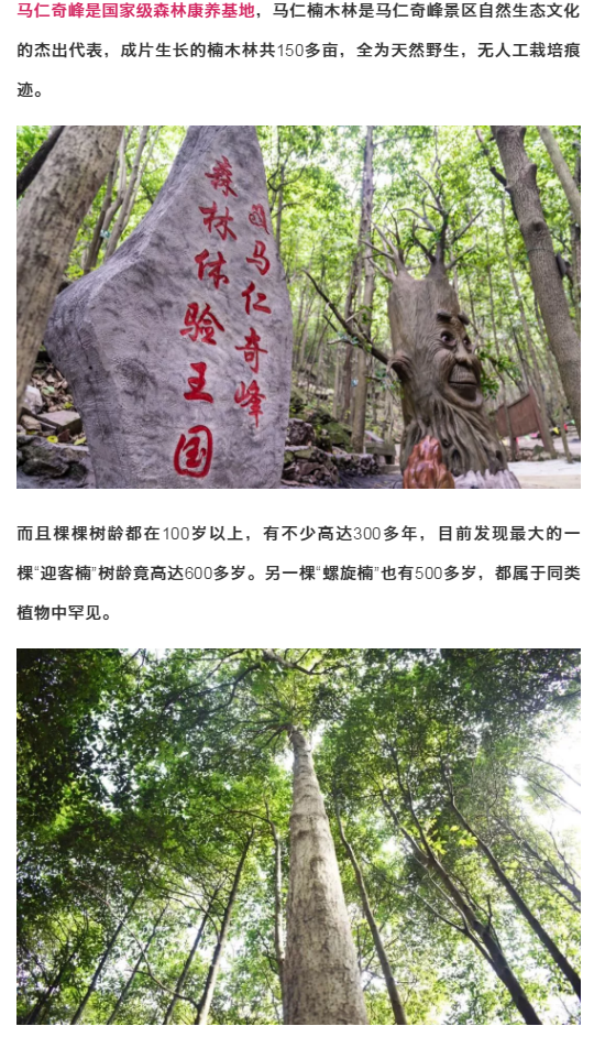 亚洲精品巨爆乳无码大乳巨