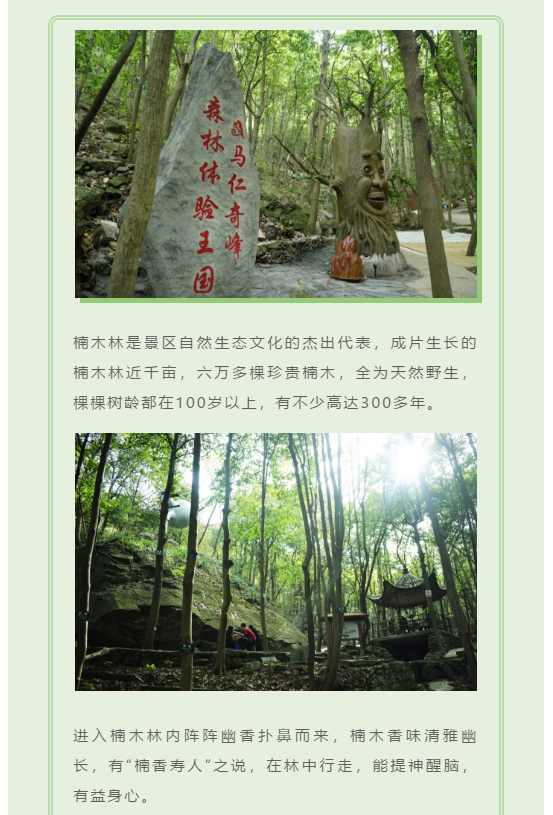 亚洲精品巨爆乳无码大乳巨