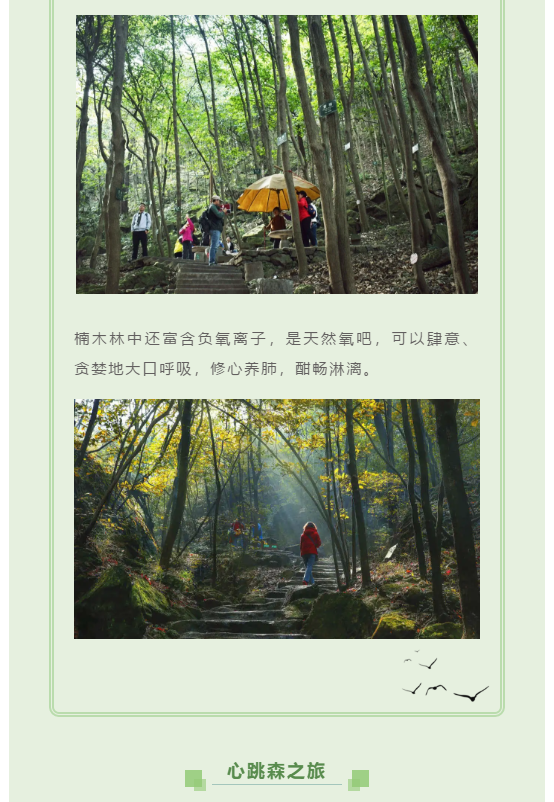 亚洲精品巨爆乳无码大乳巨