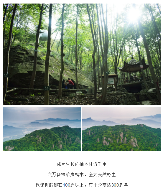 亚洲精品巨爆乳无码大乳巨