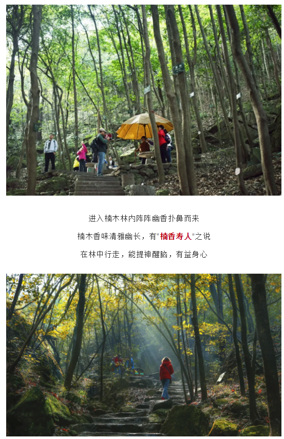 亚洲精品巨爆乳无码大乳巨