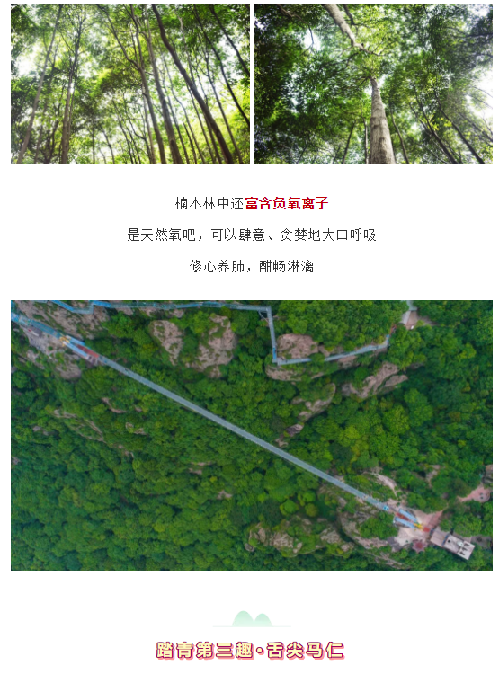 亚洲精品巨爆乳无码大乳巨