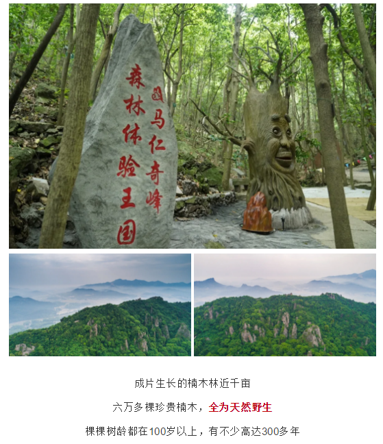 亚洲精品巨爆乳无码大乳巨