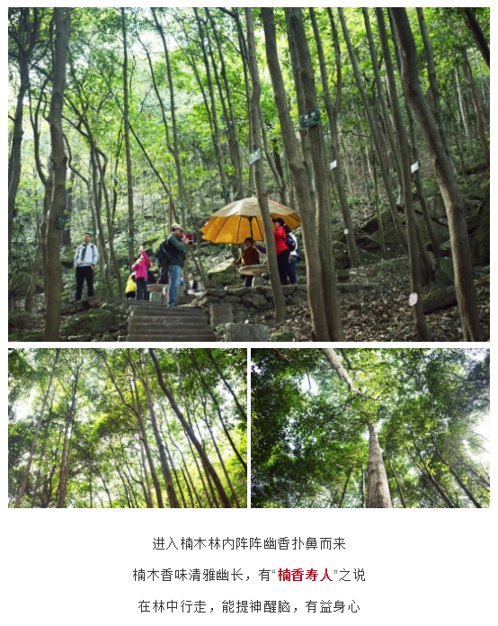 亚洲精品巨爆乳无码大乳巨