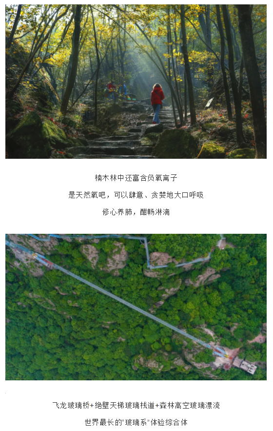 亚洲精品巨爆乳无码大乳巨