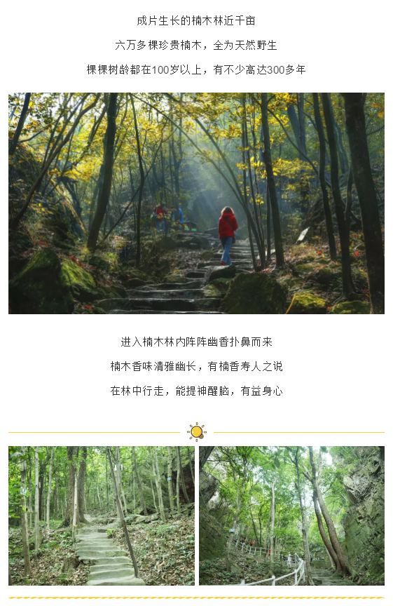 亚洲精品巨爆乳无码大乳巨