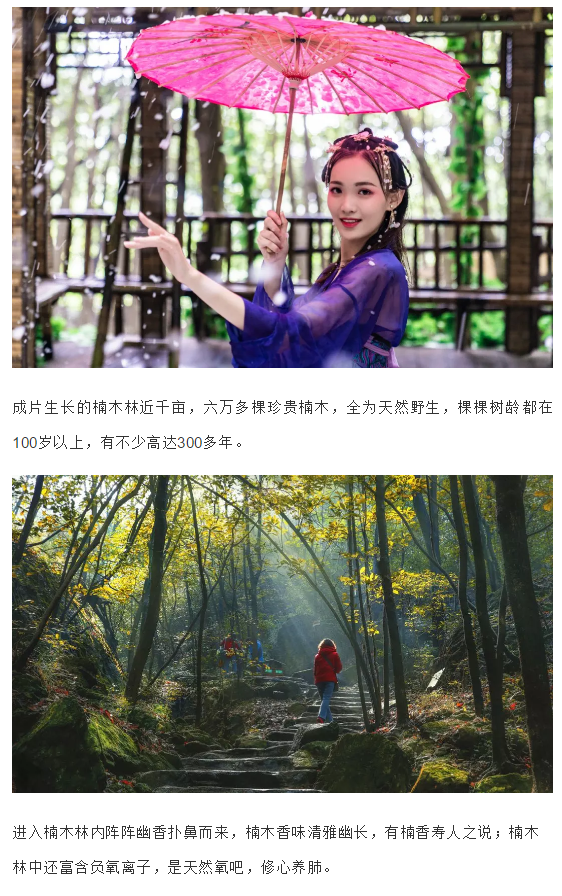 亚洲精品巨爆乳无码大乳巨